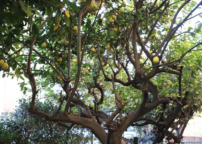 Appartement Casa Con Giardino A Roma, 2 Camere, Ideale Per Famiglie, 15 Minuti Dal Colosseo, 5 Minuti Da Mirti *