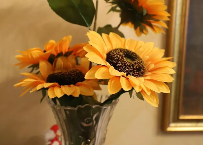 Appartement Casa Con Giardino A Roma, 2 Camere, Ideale Per Famiglie, 15 Minuti Dal Colosseo, 5 Minuti Da Mirti